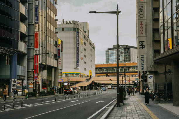 通条 - tōng tiáo