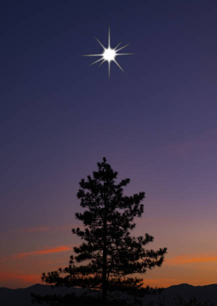 晨星 - chén xīng