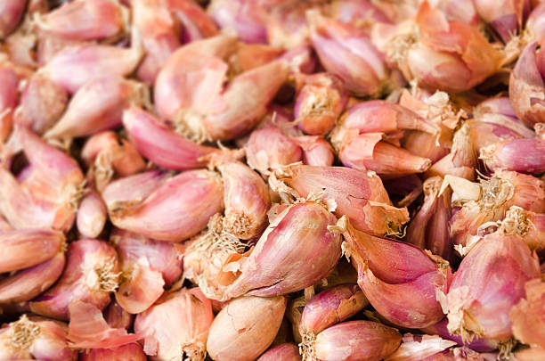 青葱 - qīng cōng