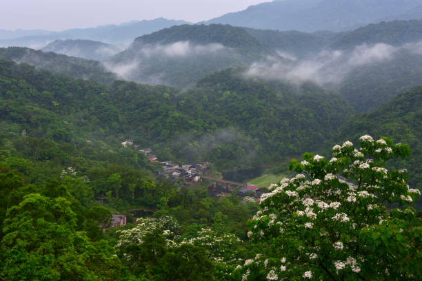 黄陵 - huáng líng