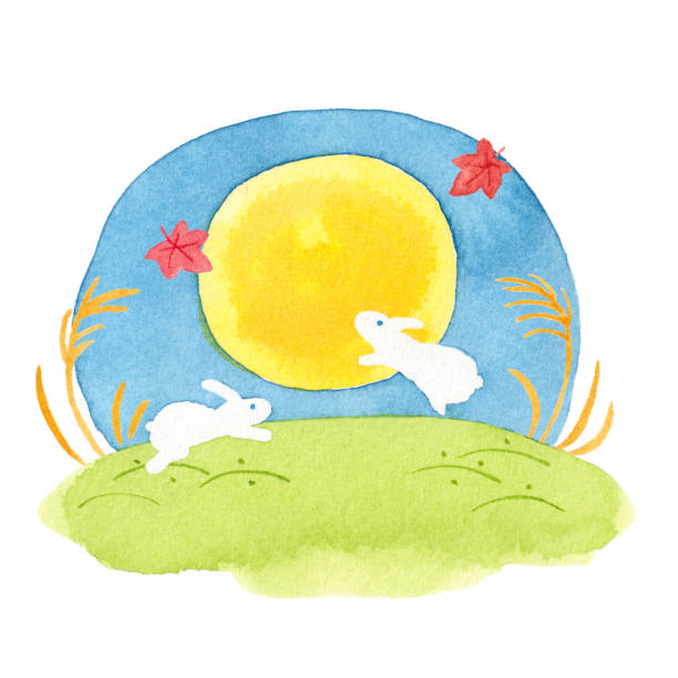 月光 - yuè guāng