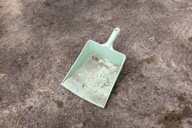 动掸 - dòng shàn