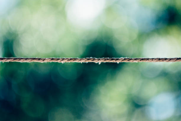 串骗 - chuàn piàn