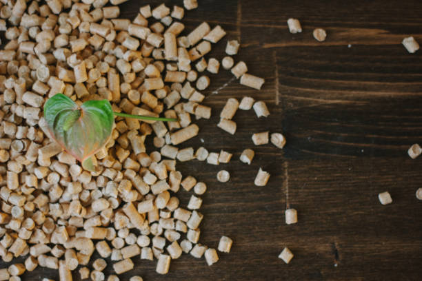 胶囊 - jiāo náng