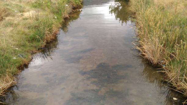 中游 - zhōng yóu