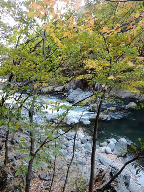 仙乡 - xiān xiāng