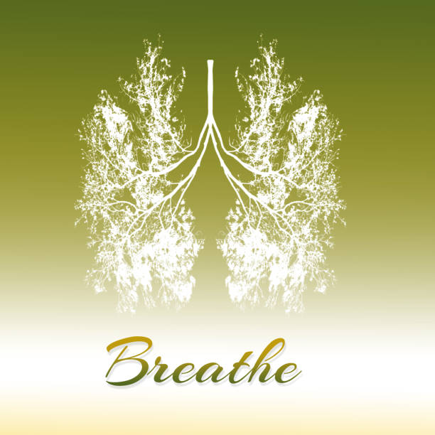 清风 - qīng fēng