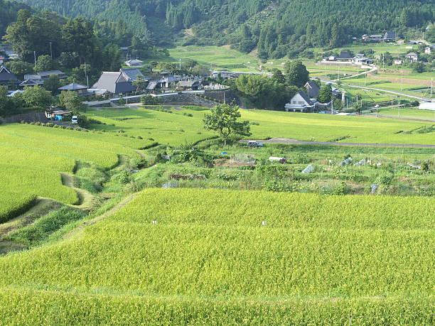 山乡 - shān xiāng