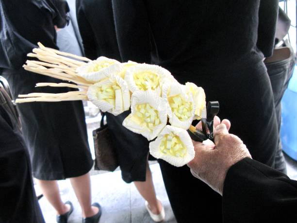 丧棒 - sàng bàng