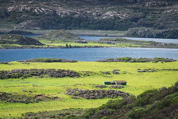 光阴 - guāng yīn