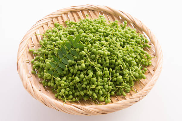 乡原 - xiāng yuán