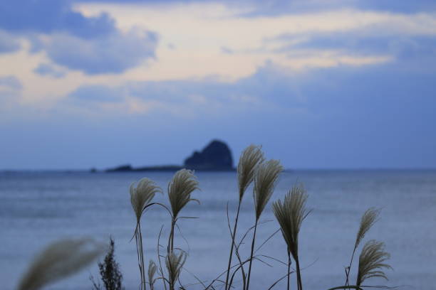 通天 - tōng tiān