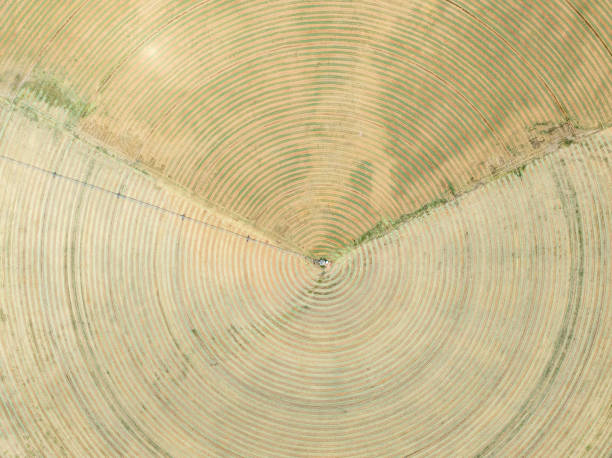 圆场 - yuán chǎng