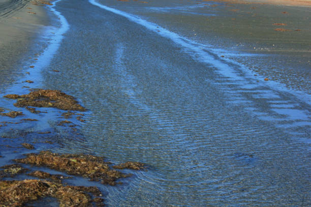 受潮 - shòu cháo