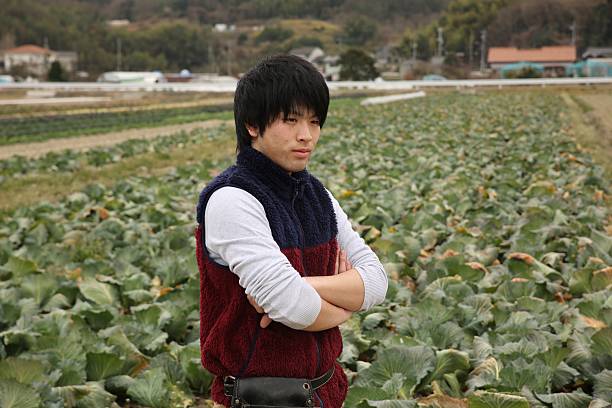 种田 - zhòng tián