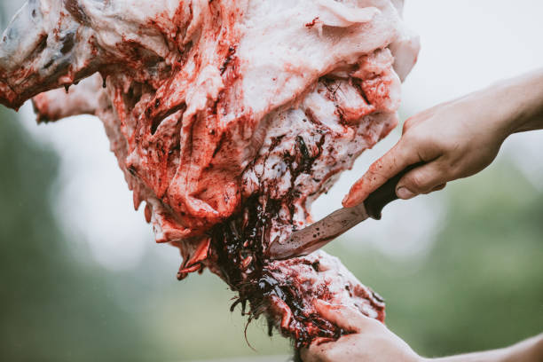 斩首 - zhǎn shǒu