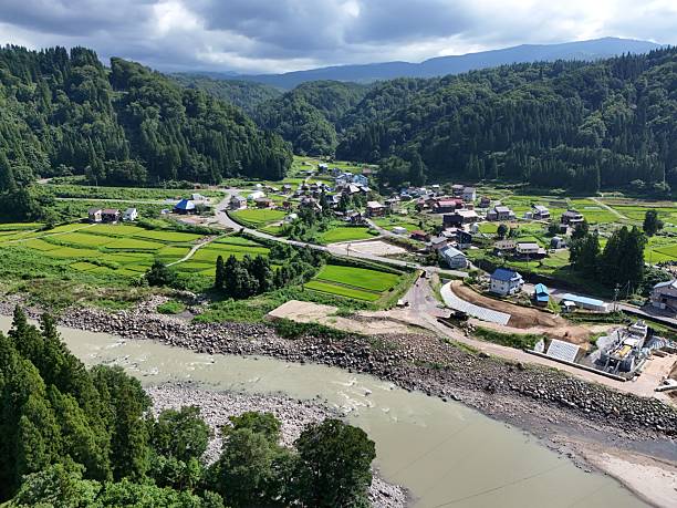 中贵 - zhōng guì