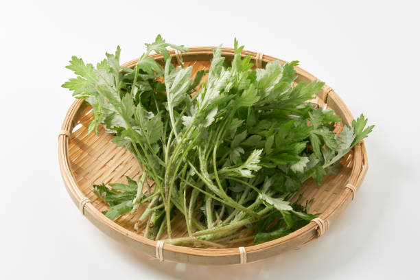 双陆 - shuāng lù