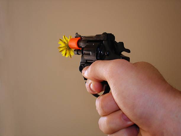 镖枪 - biāo qiāng