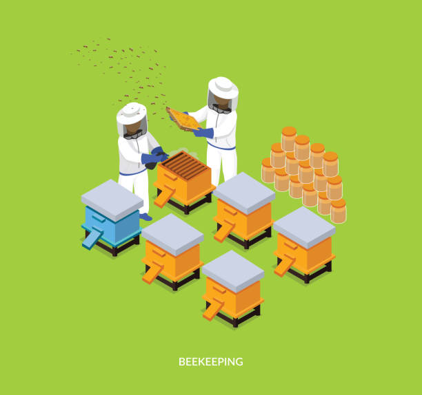 养蜂 - yǎng fēng