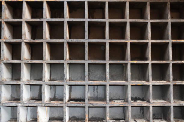 车厢 - chē xiāng