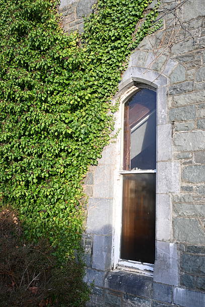 边窗 - biān chuāng