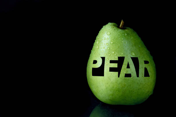 朋僚 - péng liáo