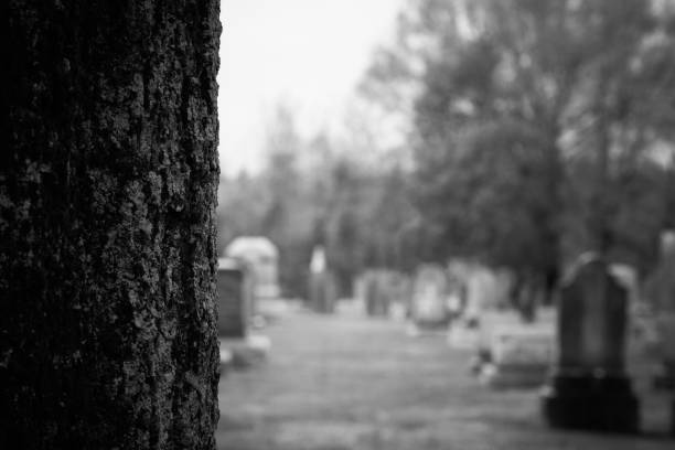 陵园 - líng yuán