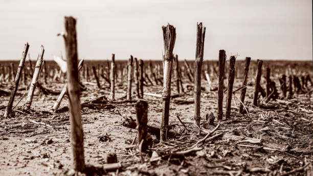 停工 - tíng gōng