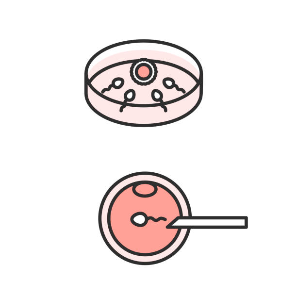 着床 - zhuó chuáng