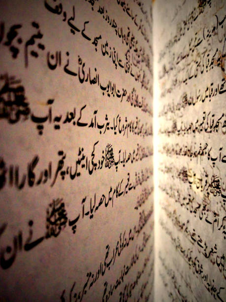 圣训 - shèng xùn