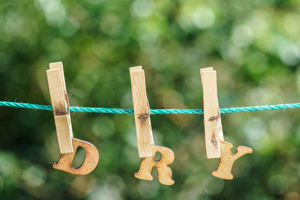 转干 - zhuǎn gàn