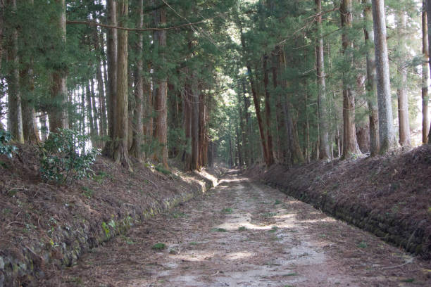 冲决 - chōng jué