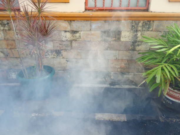 前尘 - qián chén