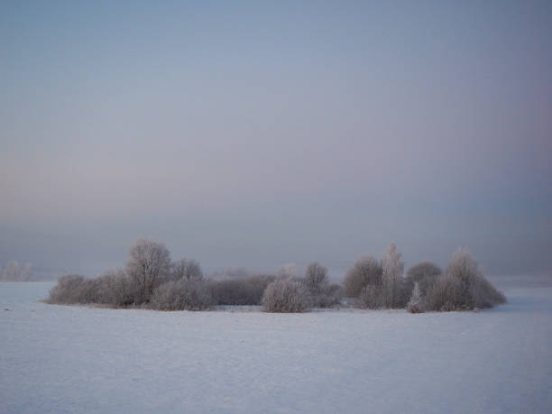 深冬 - shēn dōng