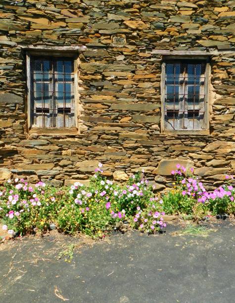 毛生 - máo shēng