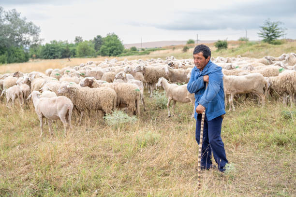 元凶 - yuán xiōng
