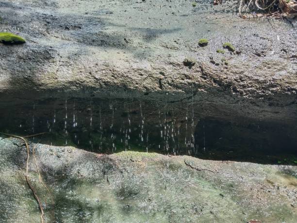 渗水 - shèn shuǐ