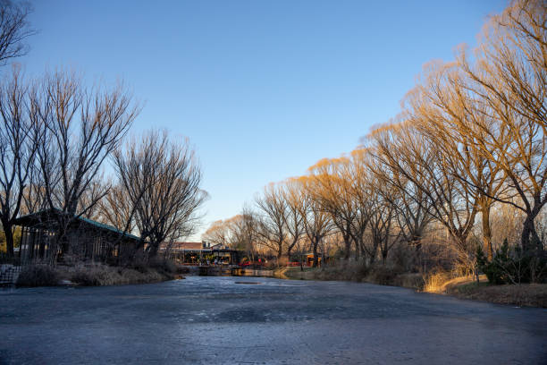 庄园 - zhuāng yuán