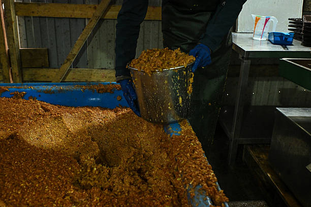 制浆 - zhì jiāng