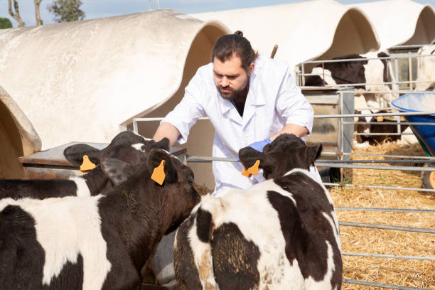 试种 - shì zhòng