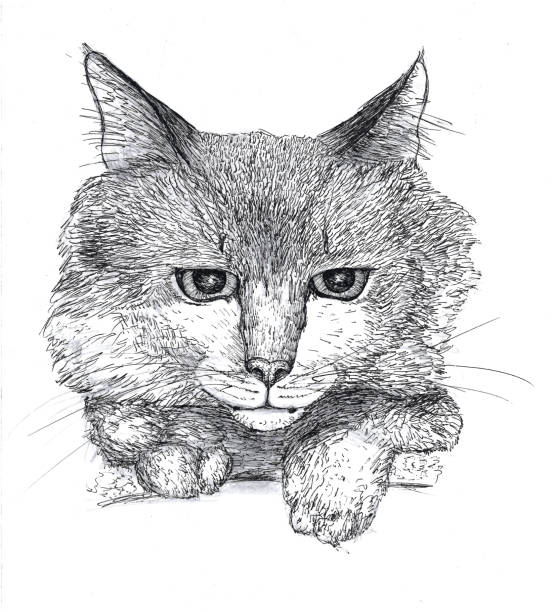 小娘 - xiǎo niáng