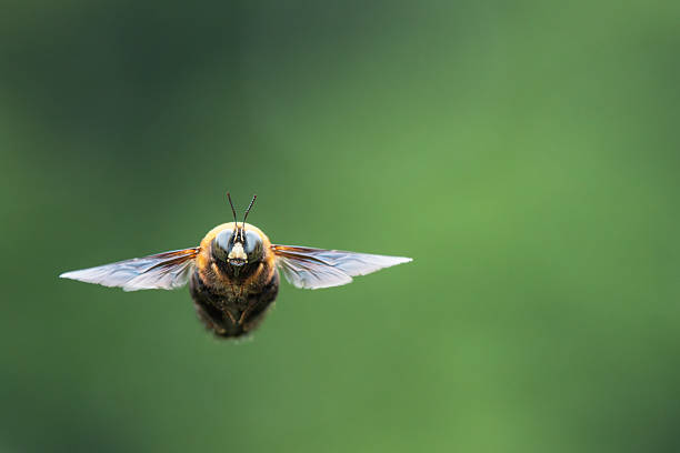 上空 - shàng kōng