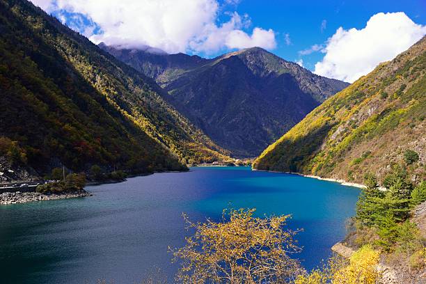 津梁 - jīn liáng