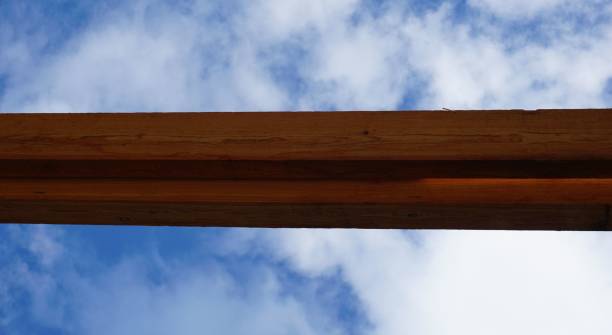 顶梁 - dǐng liáng