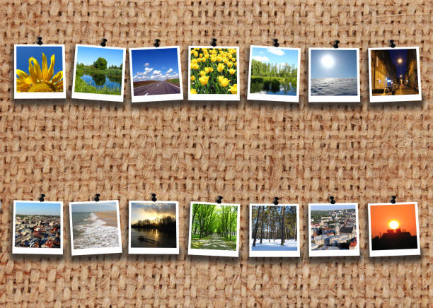 收缴 - shōu jiǎo