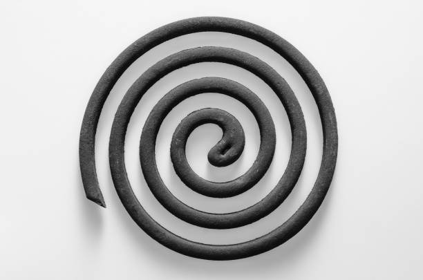 旋转 - xuán zhuǎn