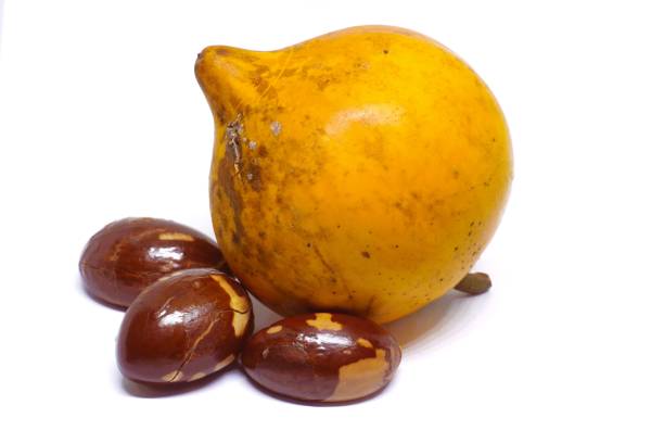 松手 - sōng shǒu