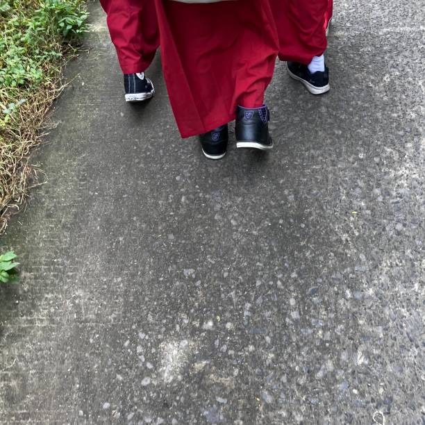 同行 - tóng háng