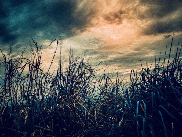 杖笞 - zhàng chī